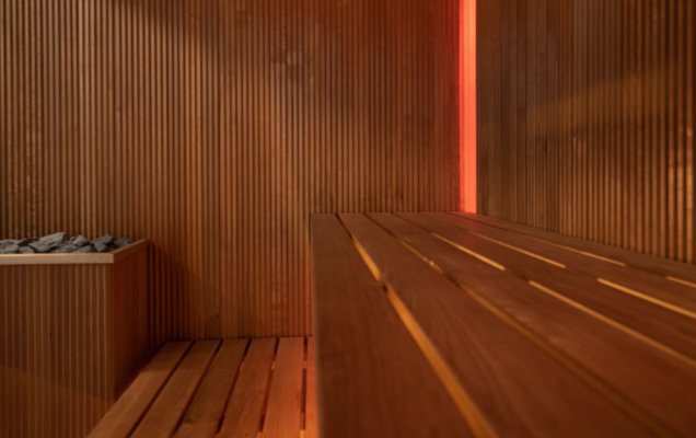 Sauna pokazowa z thermo osiki