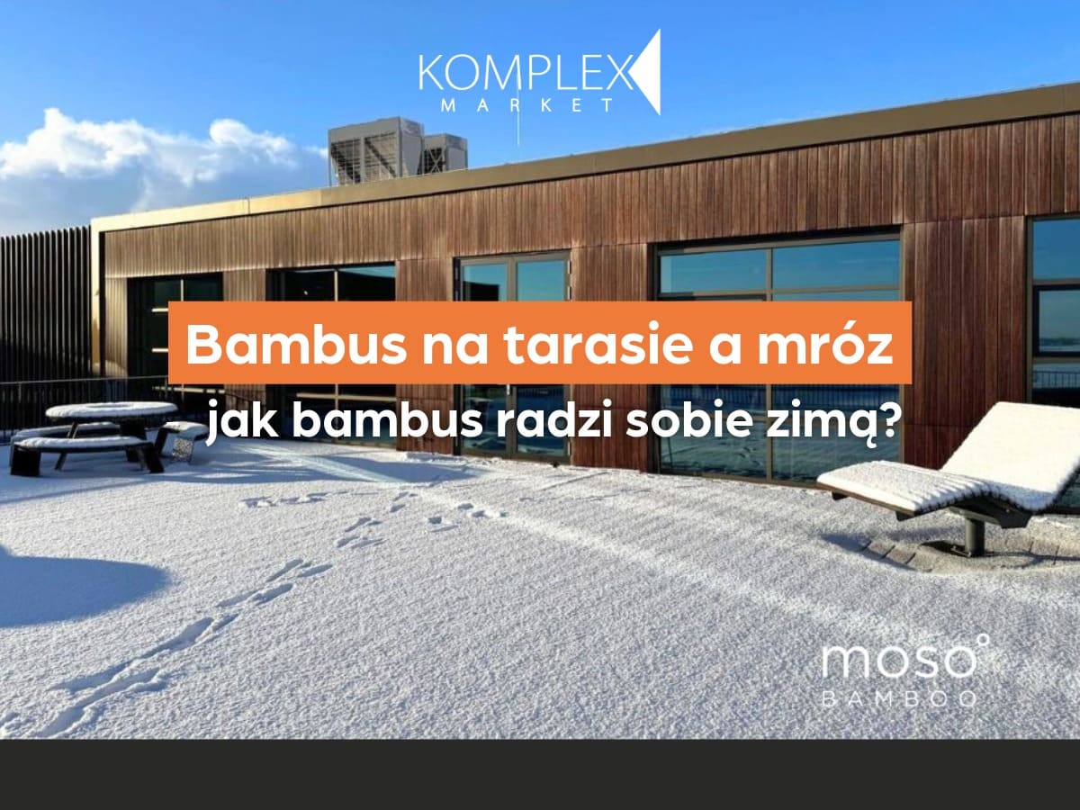 Bambus na tarasie a mróz - czyli jak materiał radzi sobie z zimą?