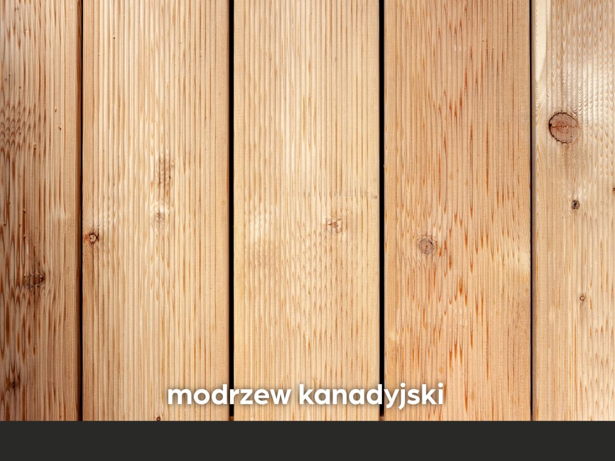 Deska tarasowa ryflowana modrzew kanadyjski