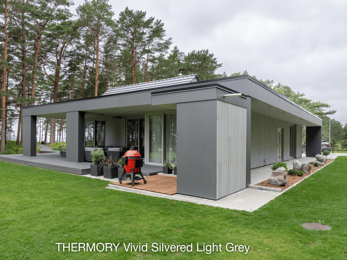 Elewacja Thermory Vivid Silvered Light Grey